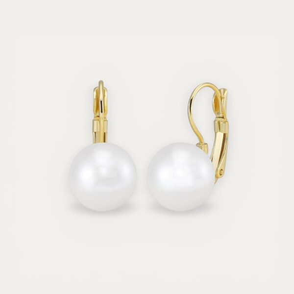 עגילי פנינים Debi מפנינת מעטפת בקוטר 12 מ"מ עם סוגר בציפוי זהב