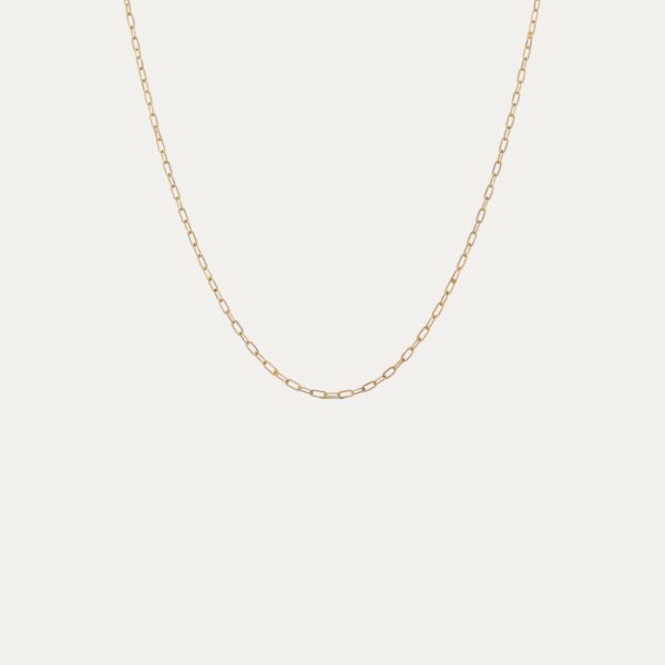 שרשרת חוליות עדינה